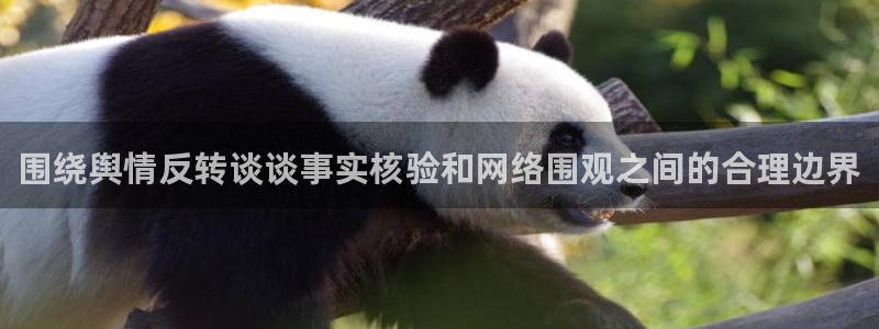 网络黑料证据梳理