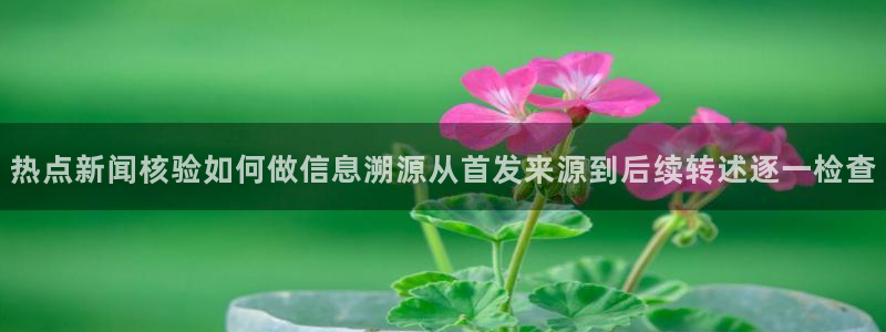 黑料事件后续进展