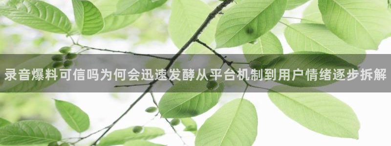 黑料吃瓜事件始末