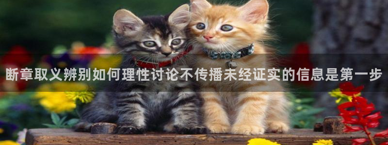 网络黑料真伪核验