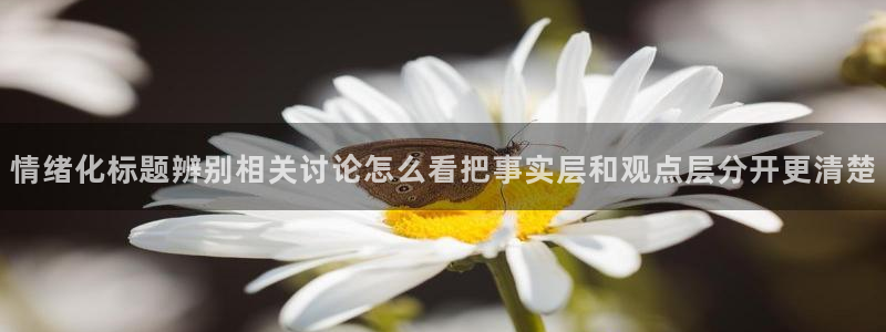 主播黑料今日更新